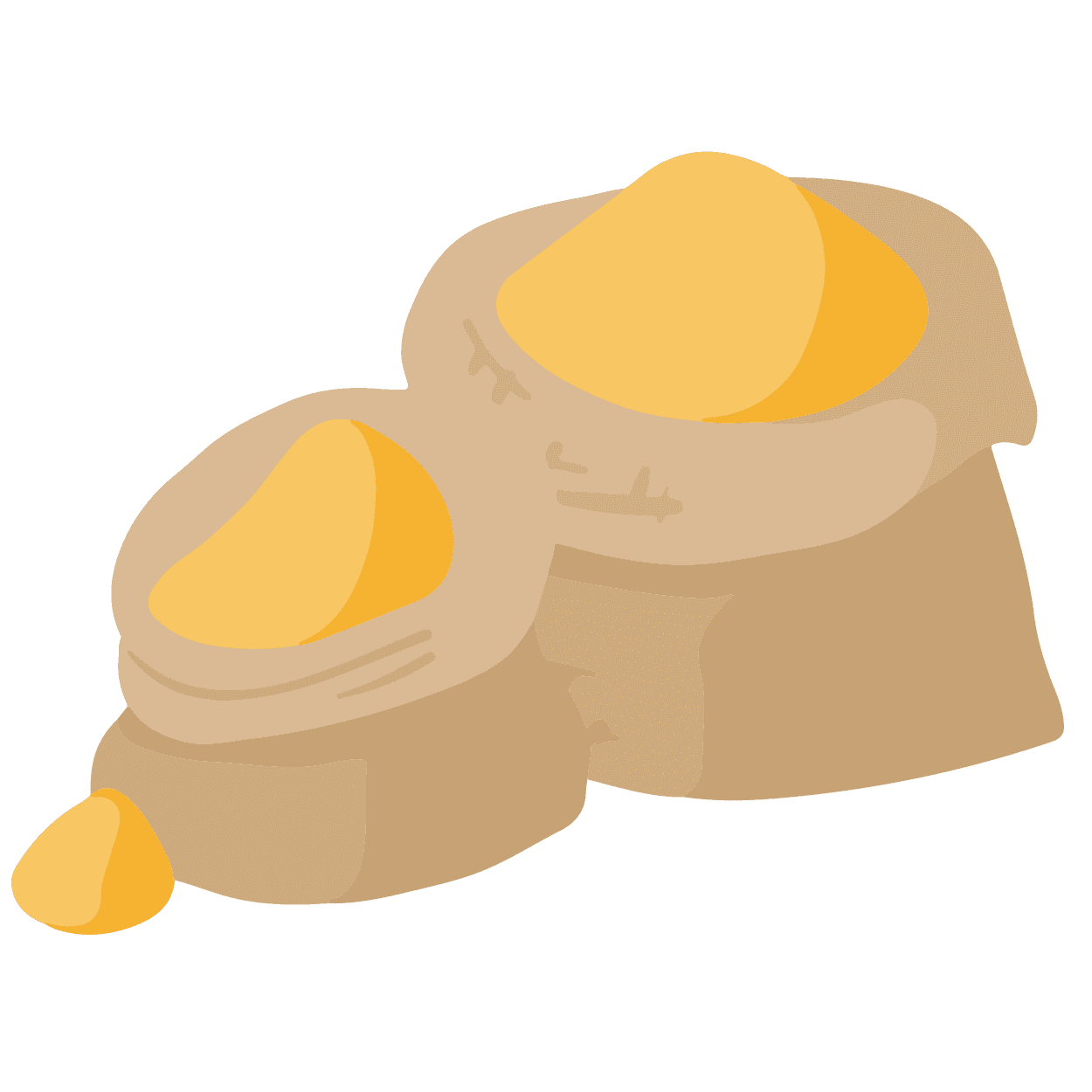 semoule de blé dur pour pâtes